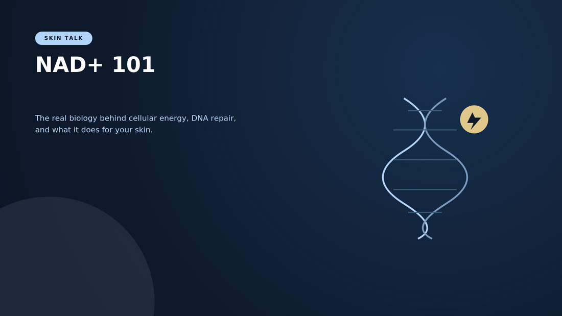 NAD+ 101: What It Is, Where It Comes From, and What It Actually Does for Your Body and Your Skin